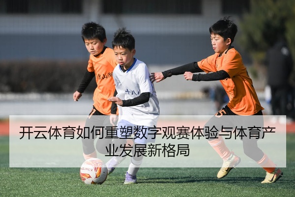 img_1777454838457_308_1_910.jpg